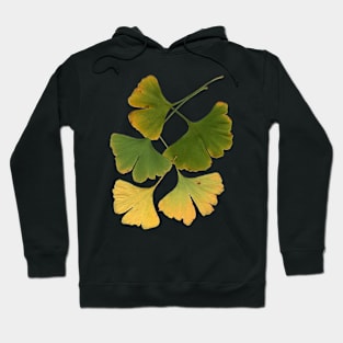 Ginkgo Leaves Turning Hoodie